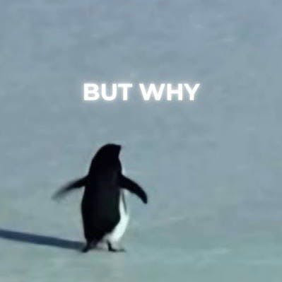 Penguin Walking Toward Mountain / Nihilist Penguin